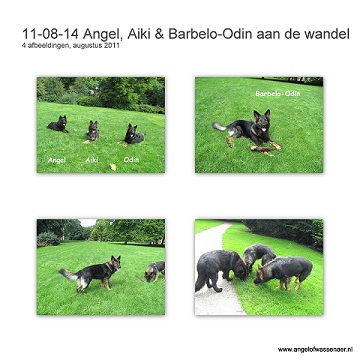 Barbelo-Odin aan de wandel met mama Angel en zus Aiki